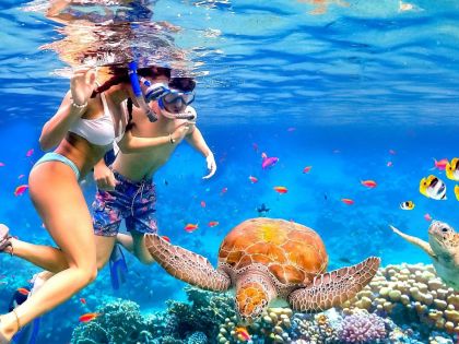 Оферти Египет